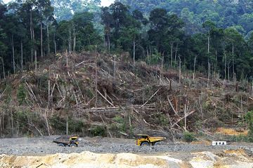 Salah satu penampakan deforestasi atau penggundulan hutan di Kalimantan. Laporan global terbaru, hutan tropis seluas lapangan sepak bola hilang setiap lima detik sepanjang tahun lalu.