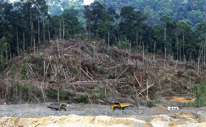 Salah satu penampakan deforestasi atau penggundulan hutan di Kalimantan. Laporan global terbaru, hutan tropis seluas lapangan sepak bola hilang setiap lima detik sepanjang tahun lalu.