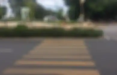 Viral, Zebra Cross GBK Terhalang Tanaman Sehingga Susah Nyebrang. Bukan Cuma Satu, Tapi Empat!