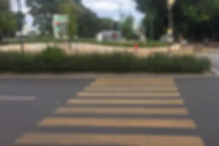 Ilustrasi zebra cross. Wajib Tahu, Nih Asal Mula Zebra Cross yang Jadi Penunjuk Nyebrang