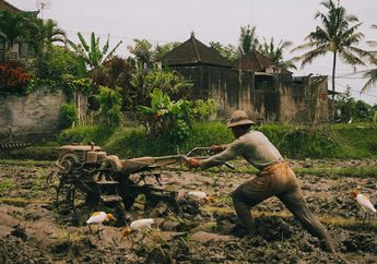 Gastrokolonialisme, Penjajahan atas Perut yang Menghancurkan Komunitas dan Budaya