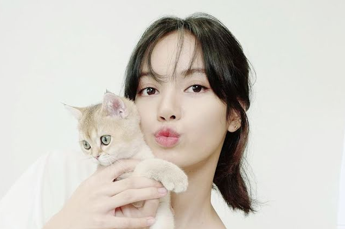 Lisa dan kucingnya