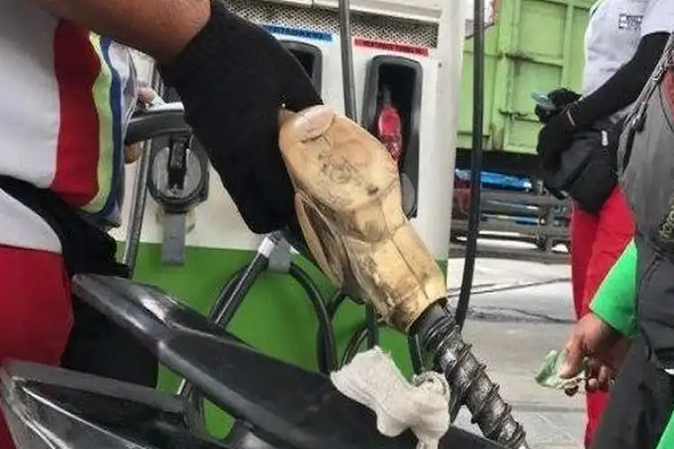 Modal Pertalite, Petugas Damkar di Pringsewu Lampung Amankan Sarang Tawon Vespa