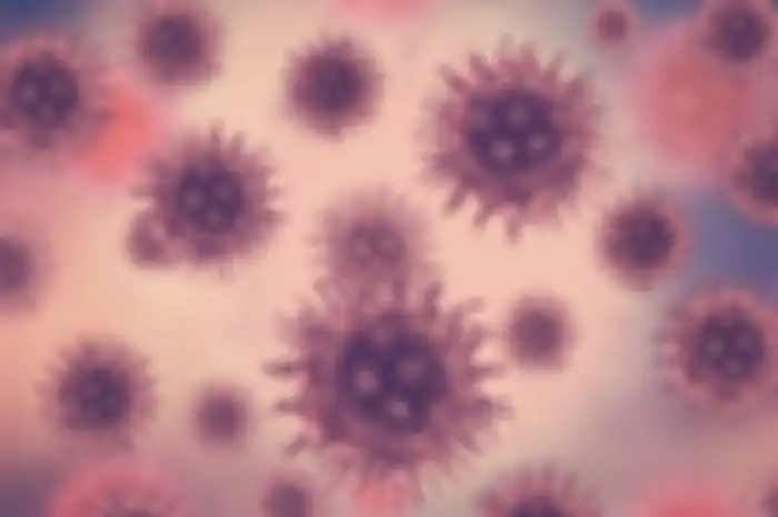 Fakta soal NeoCov yang diduga varian baru virus corona