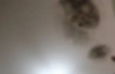 Agar Rembes dan Bocor di Kamar Mandi Tak Terjadi Berulang Kali, Jangan Salah Pilih Waterproofing!