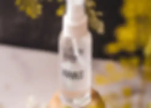 Beorganik Tawas Spray 