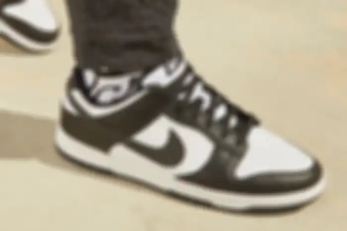 Nike Dunk Low Retro 'Panda'