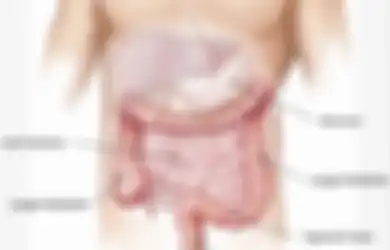 Kesehatan Usus pun Perlu Diperhatikan, Yuk Bersihkan Usus Anda dengan 6 Cara Alami Berikut!