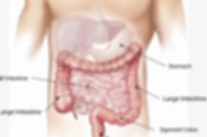 Usus besar juga merupakan organ penting tubuh yang harus kita jaga kesehatannya, seperti halnya hati, ginjal dan jantung.