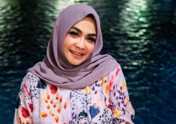 'Yang Jelas Ada Peristiwa' 4 Tahun Membina Rumah Tangga, Rieta Amilia Bersikeras Ceraikan Basuki Widjaja, Pengadilan Agama Jakarta Selatan Buka Suara Soal Penyebabnya