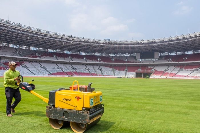 Kondisi rumput Stadion Utama Gelora Bung Karno (SUGBK) Jakarta, Senin (12/8/2024).