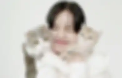 Jangan Sedih, Begini Caranya Menyembuhkan Kucing yang Sedang Flu!
