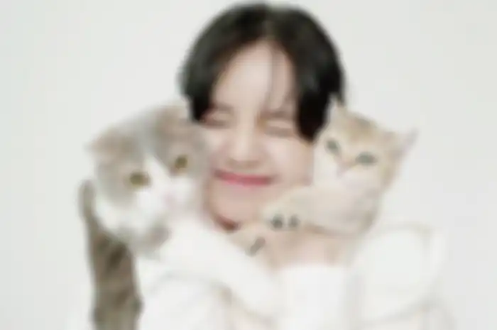Lisa dan kucingnya