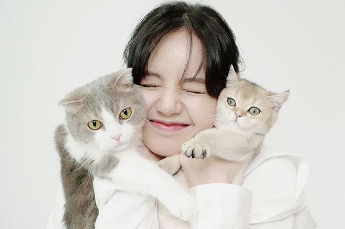 Lisa dan kucingnya