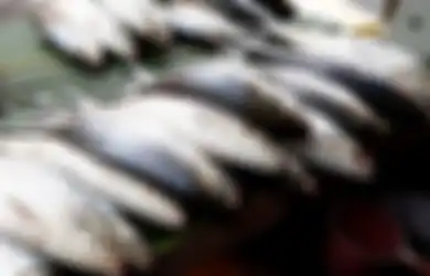 Aneka Tips Harian, Jangan Dibeli Jika Tak Mau Nyawa Melayang, Ini Dia Ciri-ciri Bandeng yang Tidak Segar