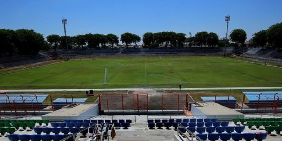 ASEAN Cup U-19 2024 - Nyaris Ditebang, Pelatih Australia Takjub Lihat Pohon Angsana Stadion Gelora 10 November