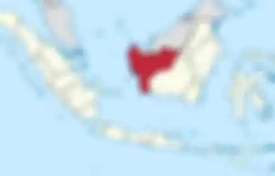 Wajib Waspada, Mutasi Virus Corona D614G Ternyata Sudah Ada di Kalimantan Barat Sejak Agustus 2020, Kepala Dinkes Kalbar Bongkar Datanya