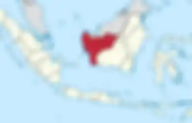 Wajib Waspada, Mutasi Virus Corona D614G Ternyata Sudah Ada di Kalimantan Barat Sejak Agustus 2020, Kepala Dinkes Kalbar Bongkar Datanya