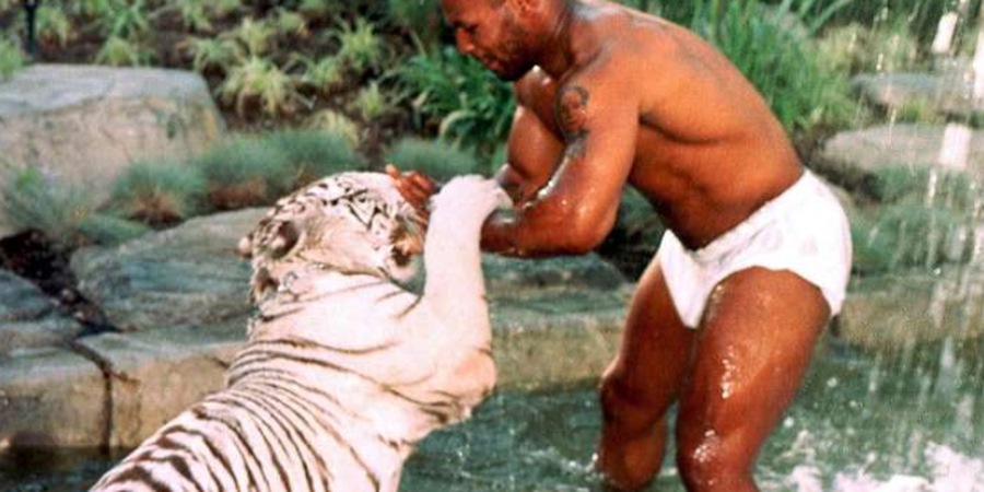 Mike Tyson Pernah Beri Rp 3,5 Miliar kepada Wanita karena Diserang Harimau Miliknya