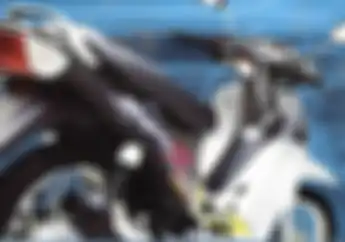 Ini Sejarah Lengkap Sang Jenderal dari Suzuki, Shogun Dilawan!