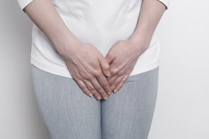 Ilustrasi organ intim perempuan