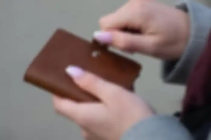 ilustrasi dompet