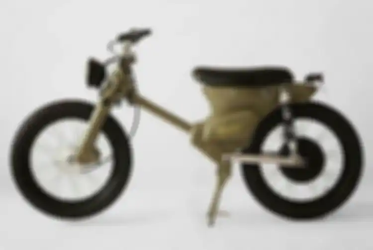 Gaya street cub