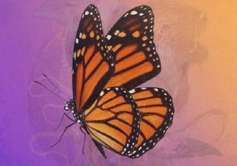 Siap-siap Dapat Rezeki Nomplok, Inilah 7 Arti Mimpi Melihat Kupu-kupu, Pertanda Adanya Perubahan Besar dalam Hidup Sampai Bakal Meraih Kesuksesan