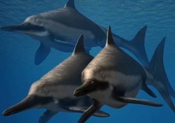 Meski Berukuran Raksasa, Mengapa Sulit untuk Mengidentifikasi Ichthyosaurus?