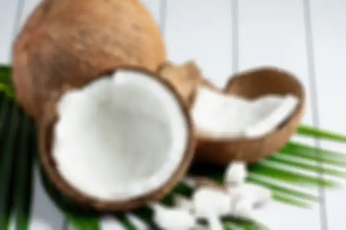 manfata konsumsi daging kelapa