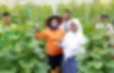 Mengenal Vokasi, Ini Bedanya D1 Hingga D4 yang Penting Buat #Girls4TheFuture!