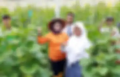 Mengenal Vokasi, Ini Bedanya D1 Hingga D4 yang Penting Buat #Girls4TheFuture!