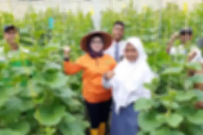 Tailor Made Training Plus, Program Kerja Sama Pendidikan Vokasi Indonesia-Belanda