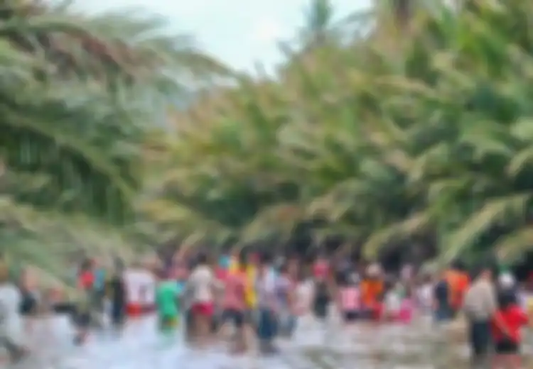 Berikan Solusi untuk Mengatasi Tantangan Tersebut (Konsistensi Tradisi Sasi)