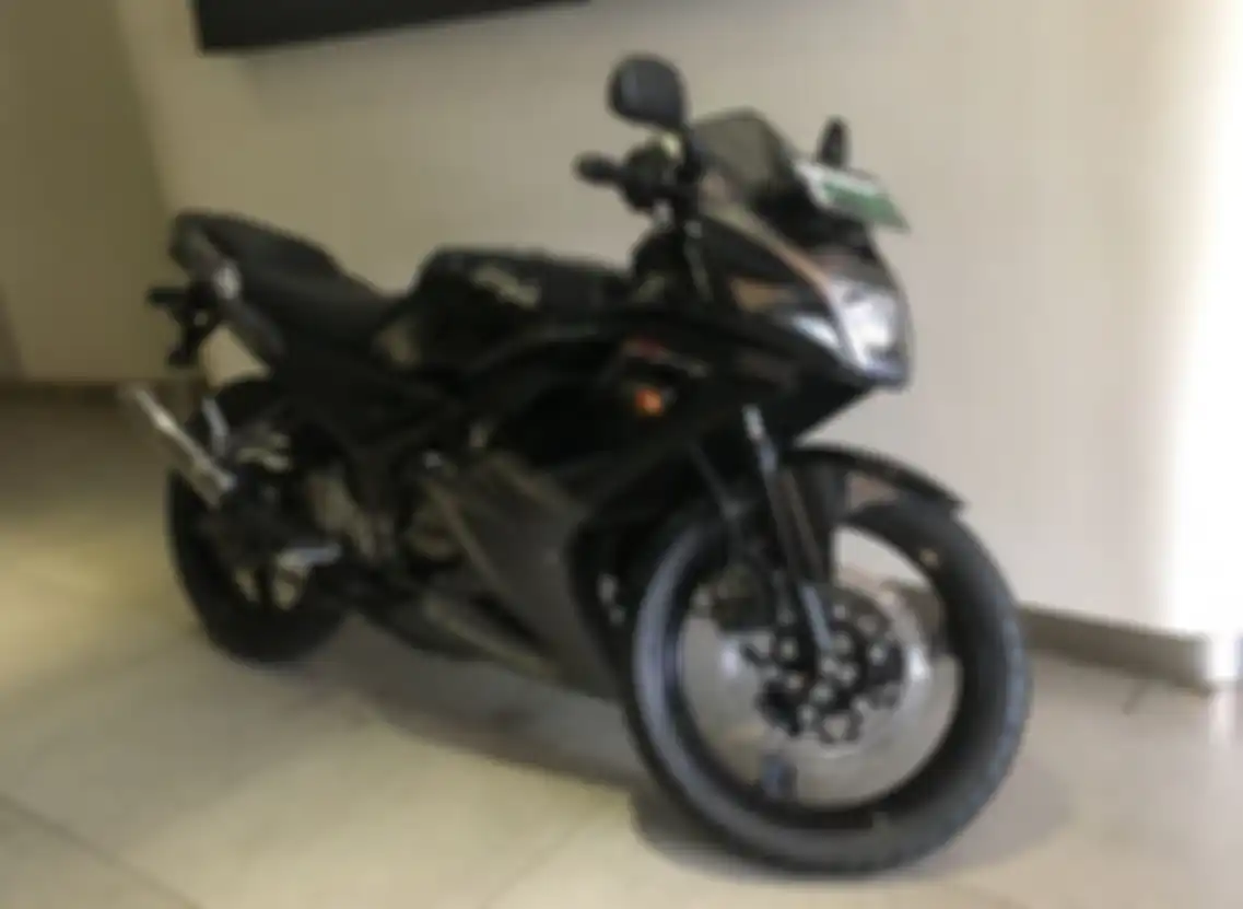 Kawasaki Ninja 150 RR