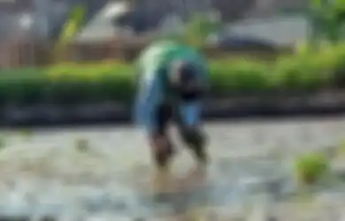 Ramalan Weton Hari Jawa Saat Ini, Jumat Legi, yang Miliki Jiwa Pemimpin, Inilah Pekerjaan yang Cocok dan Peruntungan Rezeki Untuknya