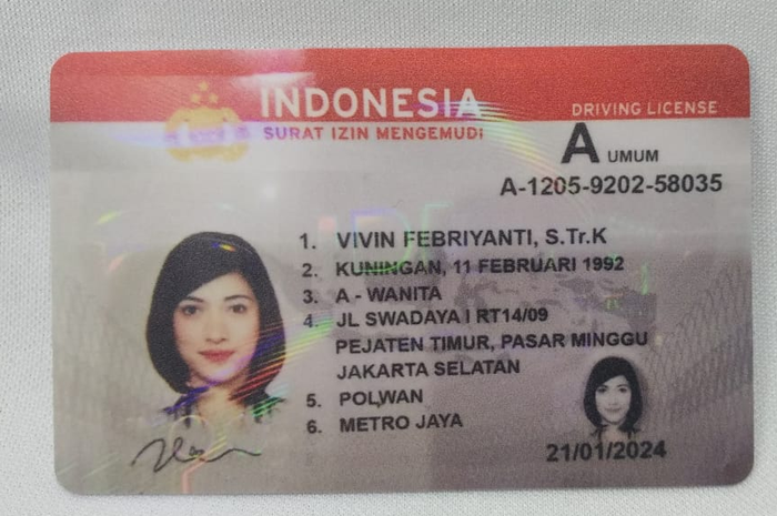 Ilustrasi Smart SIM. 