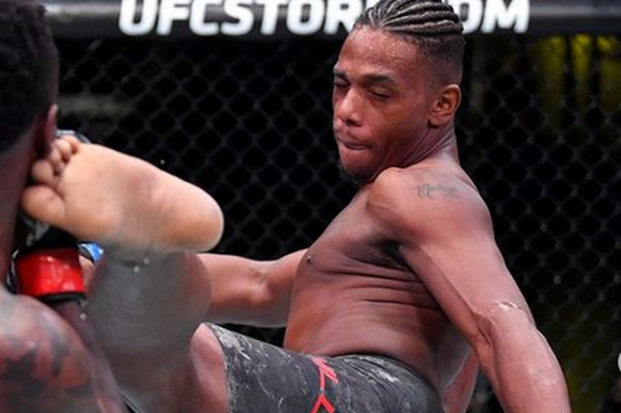 Jamahal Hill bicara perbandingan kekalahannya dengan Jiri Prochazka dari Alex Pereira