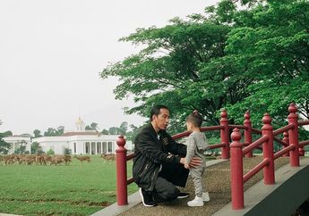 Jadi Orang Nomor 1 di Indonesia, Cara Presiden Jokowi Liburan Bersama Cucu Jauh dari Kesan Mewah, Cuma Lakukan Kegiatan Sederhana ini!