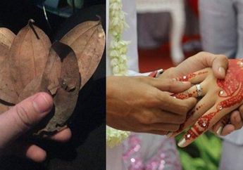 Wanita di NTB Kena Prank, Berharap Dilamar dengan Mahar Rp 3 M Oleh Pria yang Ngaku Pengusaha, Ternyata Isinya Tumpukan Daun Kering