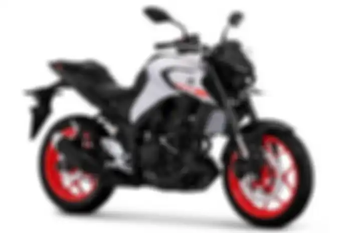 Yamaha MT-25.