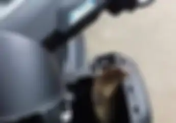 Merinding! Yamaha NMAX Jadi Tempat Bersarang Ular Paling Beracun di Dunia