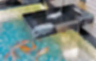 Berencana Buat Air Terjun Berundak? Tak Perlu Pusing, Begini Tipsnya!
