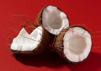 Emak-emak Indonesia Wajib Tahu! Ternyata Begini Cara Memasak Santan Kelapa Agar Tidak Mudah Basi dan Pecah, Bisa Langsung Dipraktikkan!