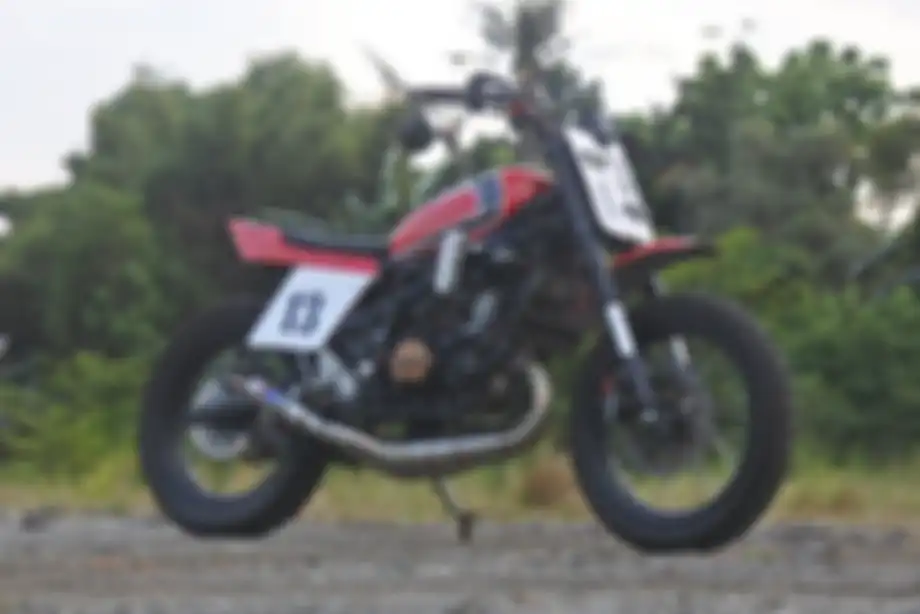 Kawasaki Ninja 150 RR flat tracker.
