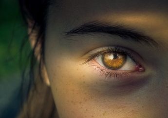 Punya Masalah Rabun? 4 Makanan dari Bahan Alami Ini Bisa Bantu Jaga Kesehatan Matamu Lho!