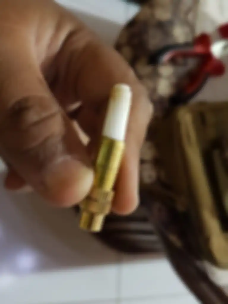 Masukan busa dari filter rokok atau filter aquarium ke dalam spuyer sprayer atau alat penyemprot tanaman