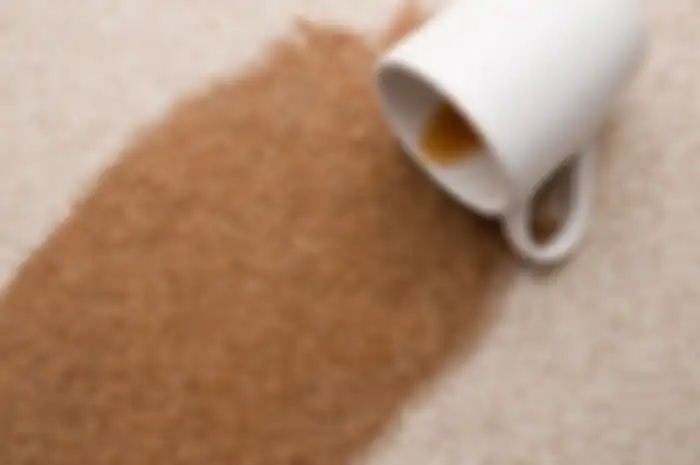 Membersihkan noda kopi tumpah di karpet