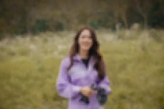 Drama 'Crash Landing on You'