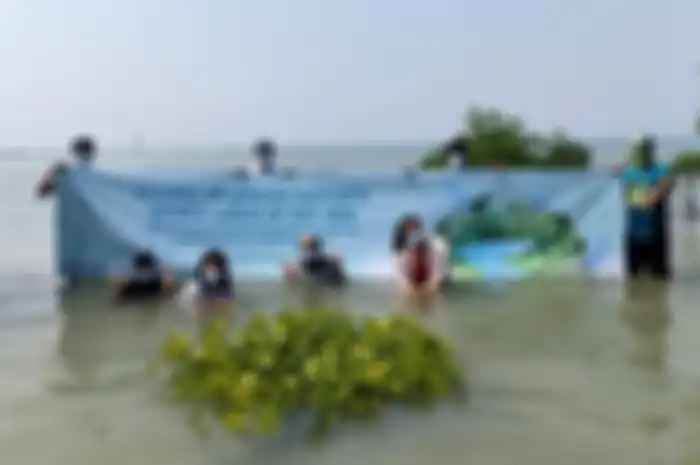 Allianz Indonesia adakan tanam mangrove virtual dalam rangka World Cleanup Day 2020